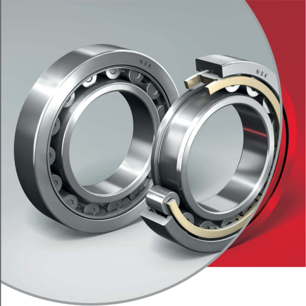 CYLINDRICAL ROLLER BEARINGS E SERIES Cylindrical Roller Bearings E Series - Image 1